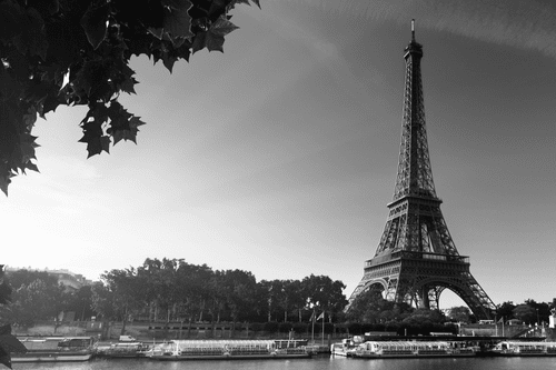 CANVAS PRINT AUTUMN PARIS IN BLACK AND WHITE - BLACK AND WHITE PICTURES - PICTURES