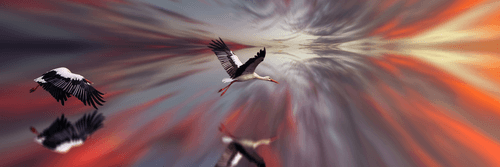 TABLEAU SUR TOILE – CIGOGNES SUR FOND ABSTRAIT - IMAGES D'ANIMAUX - TABLEAUX