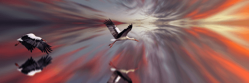 CANVAS PRINT STORKS ON AN ABSTRACT BACKGROUND - PICTURES OF ANIMALS - PICTURES