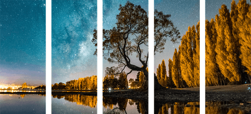 5-PIECE CANVAS PRINT TREE UNDER A STARRY SKY - PICTURES OF NATURE AND LANDSCAPE - PICTURES