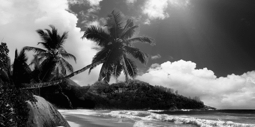 WANDBILD WUNDERSCHÖNER STRAND AUF DER SEYCHELLEN-INSEL IN SCHWARZ-WEISS - SCHWARZ-WEISSE BILDER - BILDER