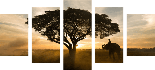 5-PIECE CANVAS PRINT ELEPHANT AT SUNRISE - PICTURES OF NATURE AND LANDSCAPE - PICTURES