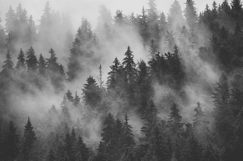 WANDBILD BERGE IM NEBEL IN SCHWARZ-WEISS - SCHWARZ-WEISSE BILDER - BILDER