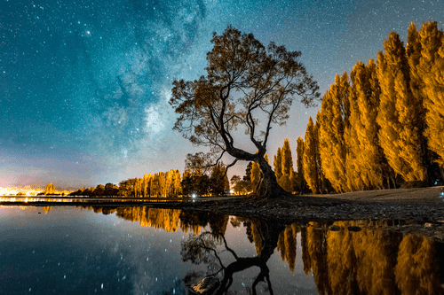 CANVAS PRINT TREE UNDER A STARRY SKY - PICTURES OF NATURE AND LANDSCAPE - PICTURES