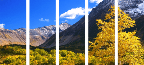 QUADRO IN 5 PARTI NATURA IN KAMCHATKA IN RUSSIA - QUADRI DI NATURA E PAESAGGIO - QUADRI