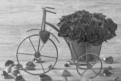 CANVAS PRINT BIKE FULL OF ROSES IN BLACK AND WHITE - BLACK AND WHITE PICTURES - PICTURES