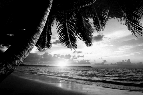 WANDBILD SONNENAUFGANG AM KARIBISCHEN STRAND IN SCHWARZ-WEISS - SCHWARZ-WEISSE BILDER - BILDER