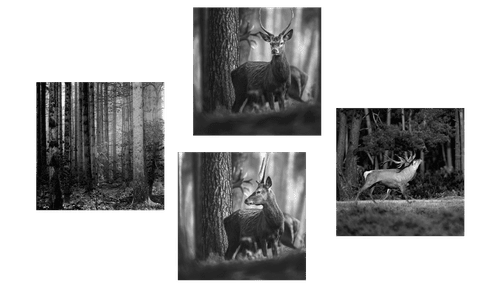 CANVAS PRINT SET FOREST ANIMALS IN BLACK AND WHITE - SET OF PICTURES - PICTURES