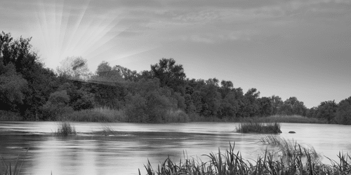 WANDBILD SONNENAUFGANG AM FLUSS IN SCHWARZ-WEISS - SCHWARZ-WEISSE BILDER - BILDER