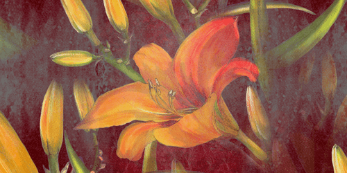 CANVAS PRINT ORANGE LILY BLOSSOM - PICTURES FLOWERS - PICTURES