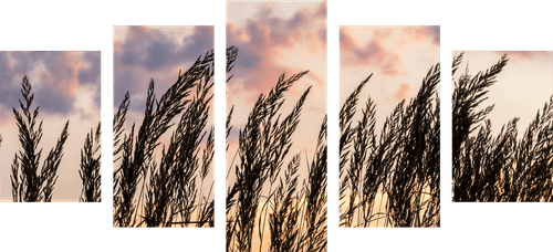 5-PIECE CANVAS PRINT GRASS AT SUNSET - PICTURES OF NATURE AND LANDSCAPE - PICTURES