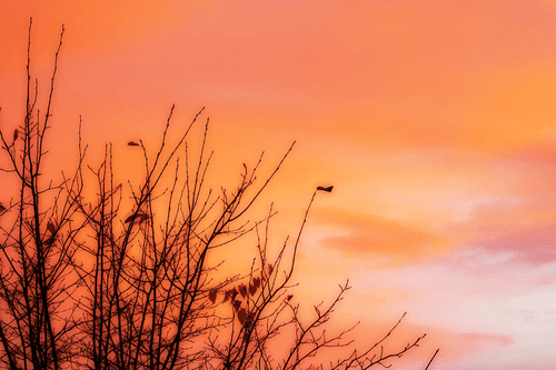 QUADRO CIELO COLORATO - QUADRI DI NATURA E PAESAGGIO - QUADRI