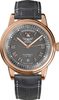 AVIATOR DOUGLAS DAY-DATE 41 AUTOMATIC V.3.35.2.283.4 - DOUGLAS DAY-DATE - MĂRCI