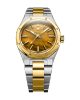 NIVADA GRENCHEN F77 TIGER EYE BICOLOR MARK I - F77 - ZNAČKY