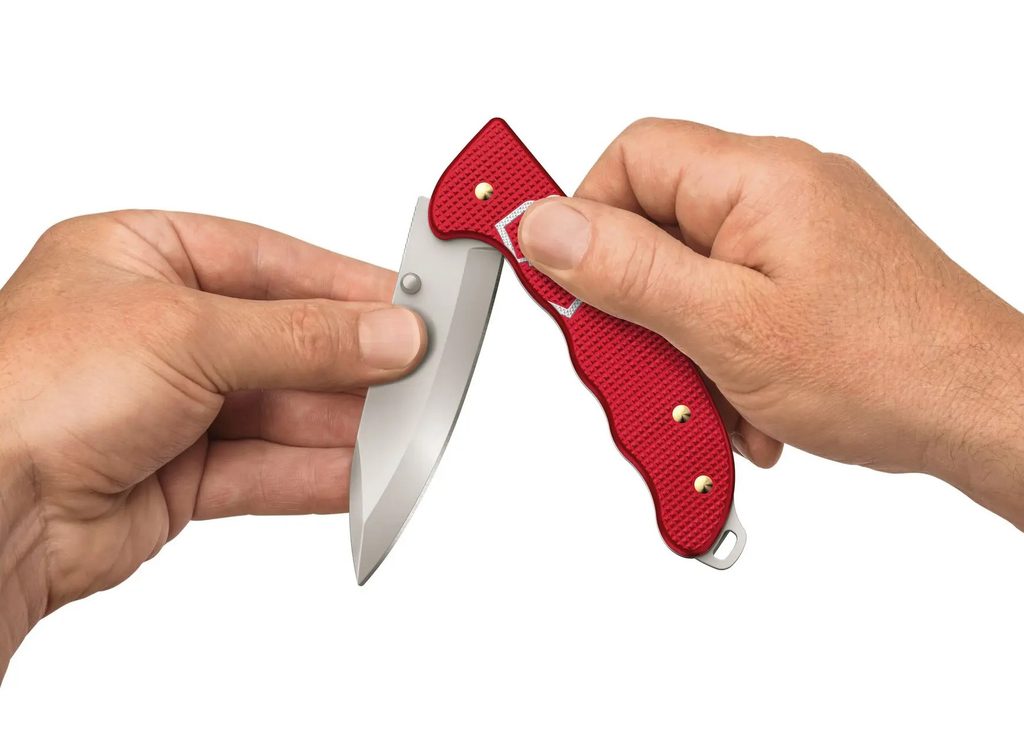 Knife Victorinox Evoke Alox, Blue/Red 0.9415.D221 | Helveti.eu