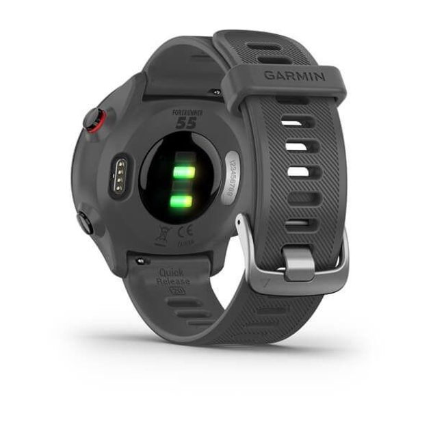 Garmin Forerunner 55 Fitness Smartwatch Whitestone