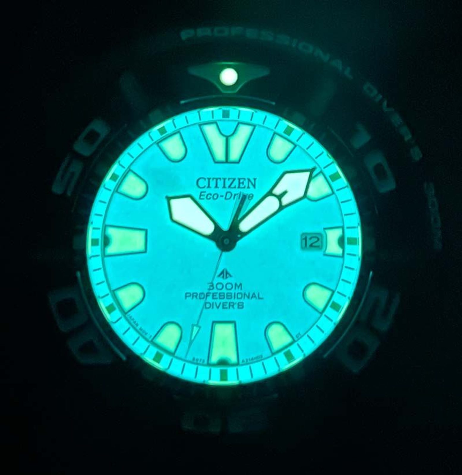 Bj8055 04e Citizen Promaster Professional Diver Men's Watch