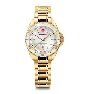 WENGER EXECUTIVE 01.2021.105 - EXECUTIVE - BRANDS