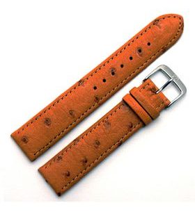 STRAP DI-MODELL STRAUSS 1630-20 - STRAPS - ACCESSORIES