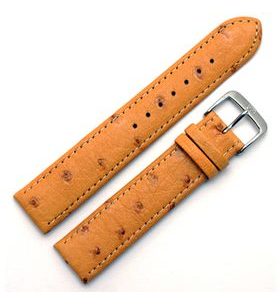 STRAP DI-MODELL STRAUSS 1630-25 - STRAPS - ACCESSORIES