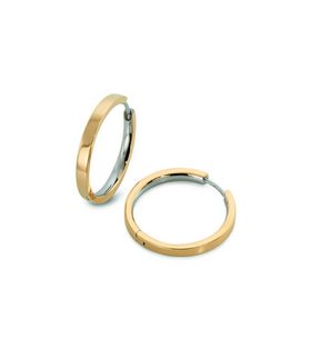 NÁUŠNICE BOCCIA TITANIUM 0517-10 - EARRING - ACCESSORIES