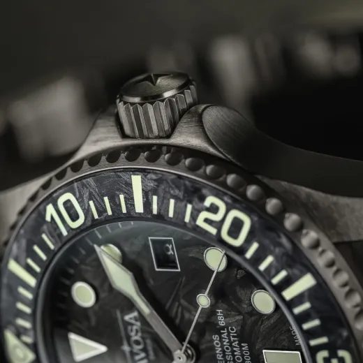 DAVOSA TERNOS PROFESSIONAL 68H CARBON LIMITED EDITION 161.539.50 - TERNOS - ZNAČKY