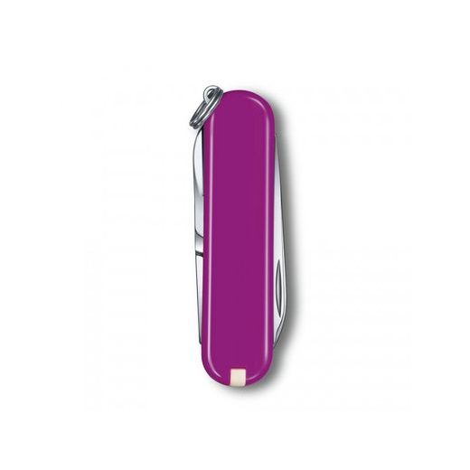 NŮŽ VICTORINOX CLASSIC SD COLORS TASTY GRAPE 0.6223.52B1 - KAPESNÍ NOŽE - OSTATNÍ