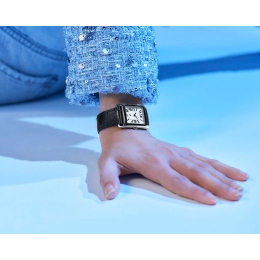 FREDERIQUE CONSTANT CLASSICS CARRÉE SMALL SECONDS QUARTZ FC-235S2C6 - CLASSICS GENTS - BRANDS