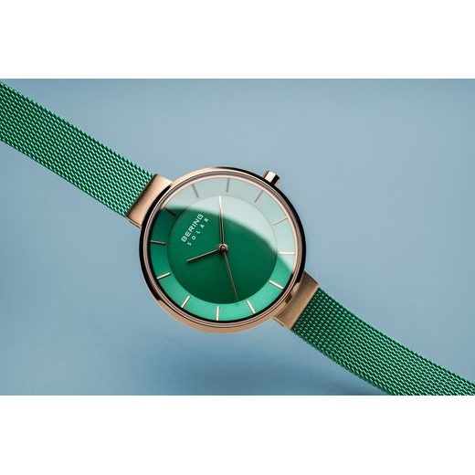 BERING CHARITY 14631 LIMITED EDITION - CHARITY - BRANDS