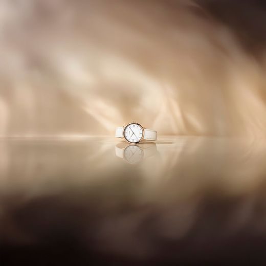 WENGER URBAN DONNISSIMA 60.1721.119 - URBAN DONNISSIMA - ZNAČKY