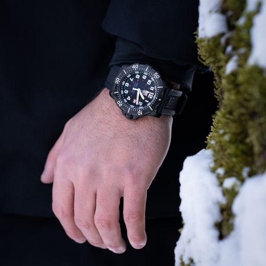 LUMINOX NAVY SEAL 4230 SERIES XS.4231.SET - SEA - BRANDS