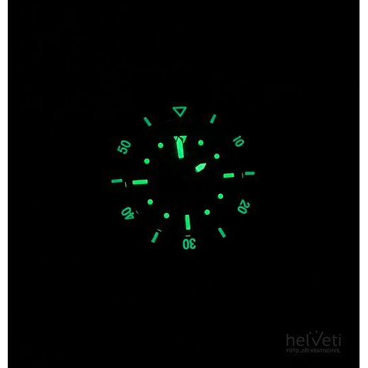 ALPINA SEASTRONG DIVER GYRE GENTS LIMITED EDITION AL-525LNSB4VG6 - ALPINA - BRANDS