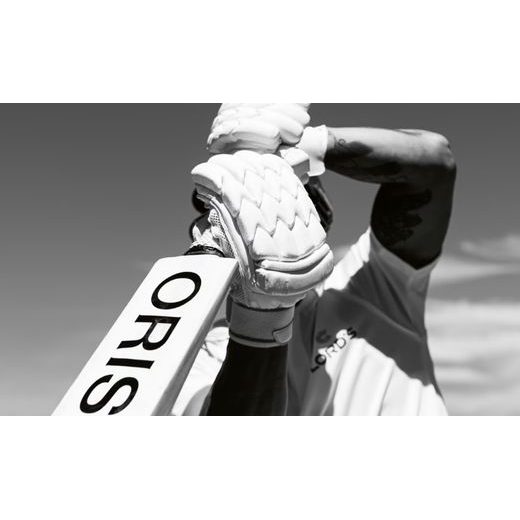 ORIS BIG CROWN POINTER DATE BRONZE FATHER TIME LIMITED EDITION 01 754 7741 3161-SET - BIG CROWN - BRANDS