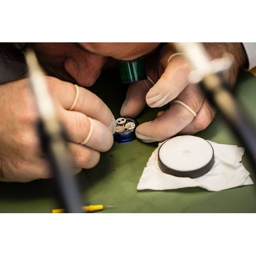 EPOS EMOTION 3391.832.20.16.25 - ARTISTRY - BRANDS