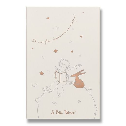 DÁRKOVÁ SADA ZÁPISNÍK A DIÁŘ MOLESKINE LE PETIT PRINCE - PEVNÉ DESKY - L 1331/1717251 - DIÁŘE A ZÁPISNÍKY - OSTATNÍ