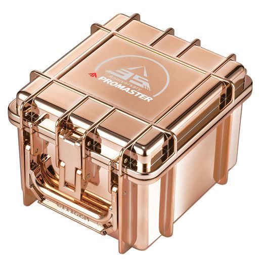 CITIZEN PROMASTER SKY RADIO CONTROLLED PROMASTER 35TH ANNIVERSARY LIMITED EDITION JY8146-54E - PROMASTER - BRANDS