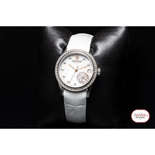 CANDINO LADY ELEGANCE C4721/1 - ELEGANCE - BRANDS