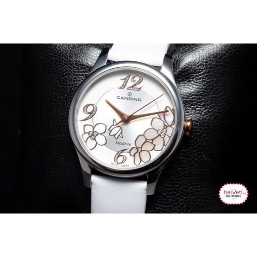 CANDINO LADY ELEGANCE 4720/1 - ELEGANCE - BRANDS