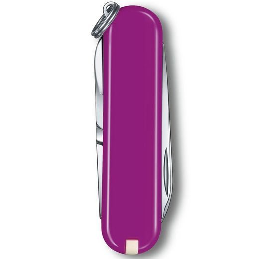 VICTORINOX CLASSIC SD COLORS TASTY GRAPE KNIFE - POCKET KNIVES - ACCESSORIES