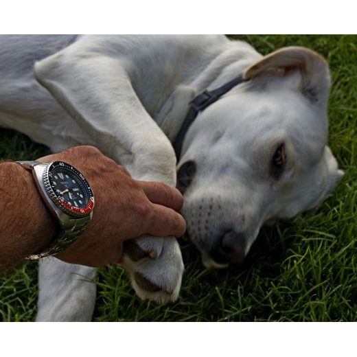 SEIKO SRPA21K1 - SPECIAL EDITION PADI - SEIKO - ZNAČKY