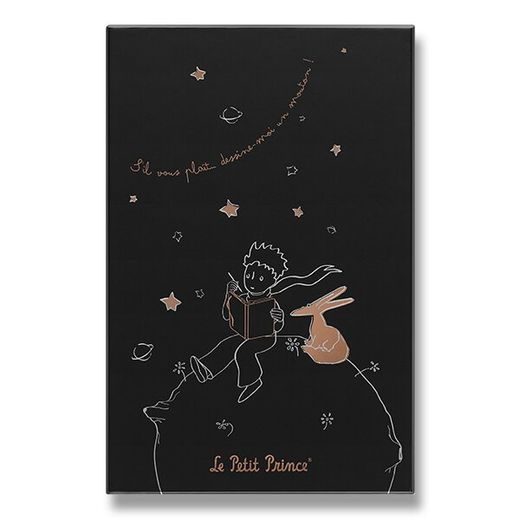 ZÁPISNÍK MOLESKINE LE PETIT PRINCE SBĚRATELSKÁ EDICE - PEVNÉ DESKY - L, LINKOVANÝ 1331/1717253 - DIÁŘE A ZÁPISNÍKY - OSTATNÍ