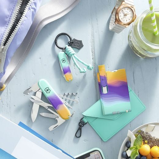 CUȚIT VICTORINOX COMPANION SYDNEY STYLE 1.3909.E222 - BRICEGE DE BUZUNAR - ALTELE