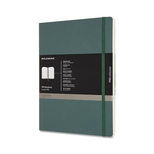 ZÁPISNÍK MOLESKINE PROFESSIONAL VÝBĚR BAREV - MĚKKÉ DESKY - XL, LINKOVANÝ 1331/450290 - DIÁŘE A ZÁPISNÍKY - OSTATNÍ