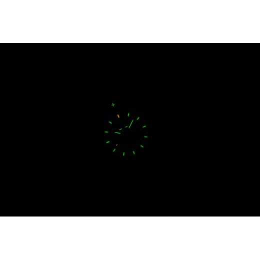 TRASER P99 Q TACTICAL GREEN NATO - TACTICAL - BRANDS