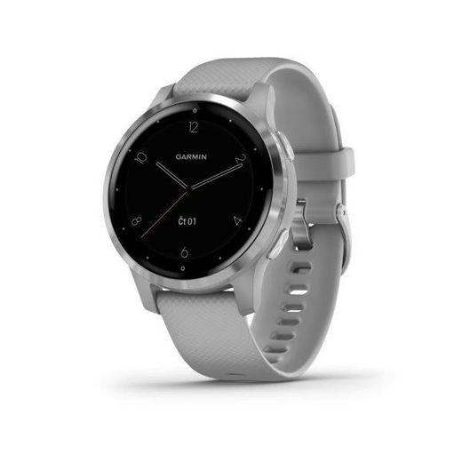 GARMIN VÍVOACTIVE4S SILVER/GRAY BAND 010-02172-03 - GARMIN - ZNAČKY