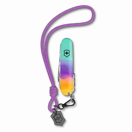 CUȚIT VICTORINOX COMPANION SYDNEY STYLE 1.3909.E222 - BRICEGE DE BUZUNAR - ALTELE