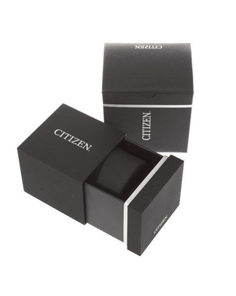 Citizen Ladies ER0210-55Y