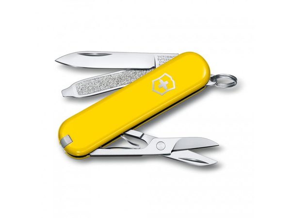 Levně Nůž Victorinox Classic SD Colors Sunny Side 0.6223.8B1 + 5 let záruka, pojištění a dárek ZDARMA