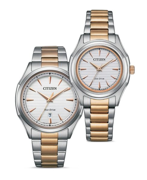 SET Citizen Eco-Drive Classic AW1756-89A a FE2116-85A + 5 let záruka, pojištění a dárek ZDARMA