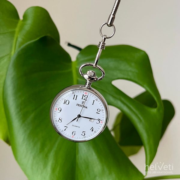 Festina Pocket 2019/1 - thumb (2)